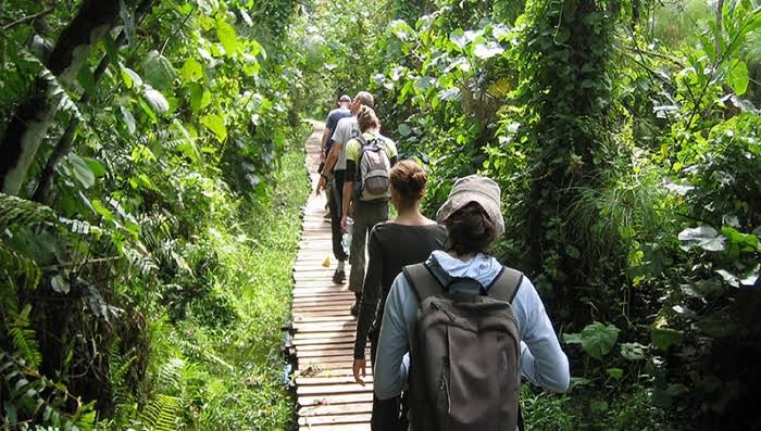 Kibale National Park image 3