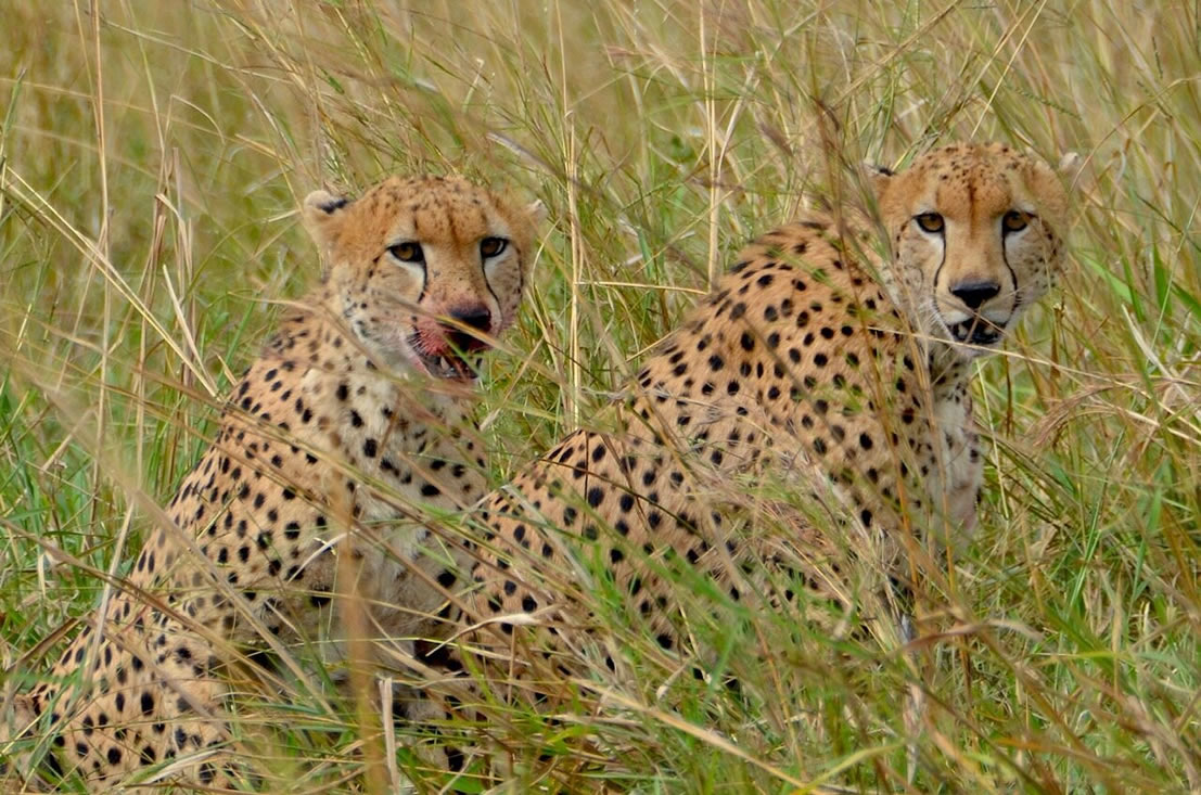 Kidepo Valley National Park main view